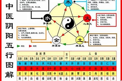 1984年生肖五行|【1984年五行】揭曉！1984年五行屬什麼？鼠年的你五行命運大。